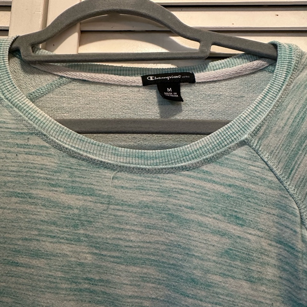 Champion Light Blue Sweatshirt